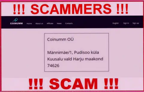 Coinumm thiefs company address