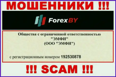 На информационном портале мошенников ForexBY предоставлен именно этот регистрационный номер указанной организации: 192530878