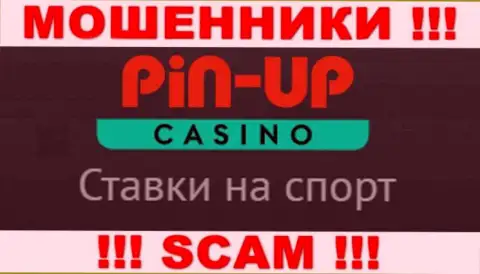 Основная работа Pin-Up Casino - это Казино, будьте осторожны, промышляют незаконно