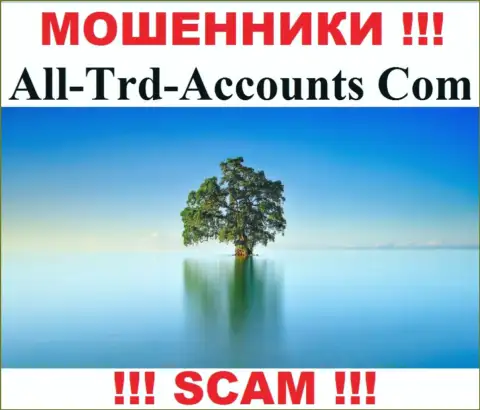 All-Trd-Accounts Com сливают депозиты и остаются без наказания - они прячут информацию о юрисдикции