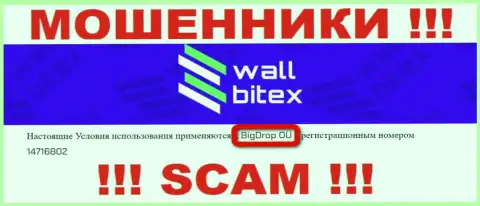 WallBitex - это МОШЕННИКИ !!! Руководит указанным лохотроном BigDrop OÜ