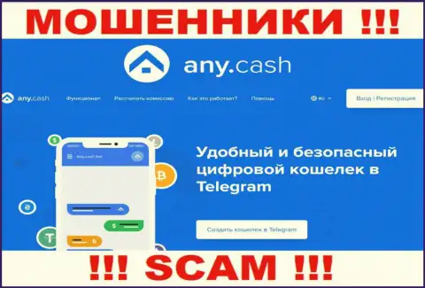 Работать совместно с Any Cash весьма опасно, потому что их направление деятельности Крипто кошелёк - это разводняк