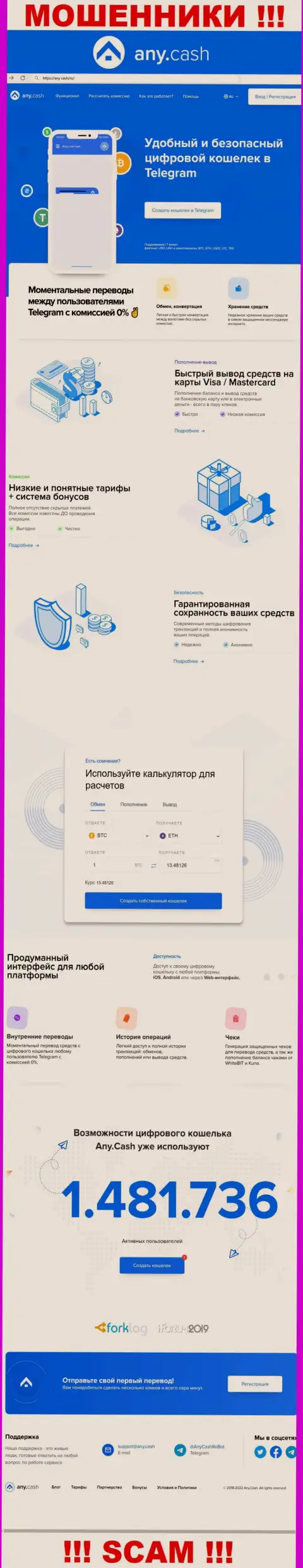 Any Cash - информационный ресурс организации Ани Кеш, типичная страница воров