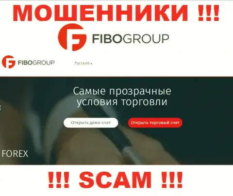 Сфера деятельности компании Fibo-Forex Ru - это замануха для лохов