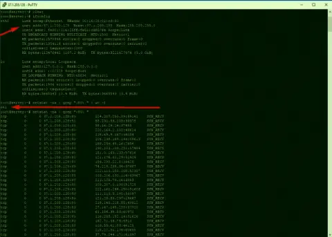 Пример DDoS атаки на maximarkets.pro